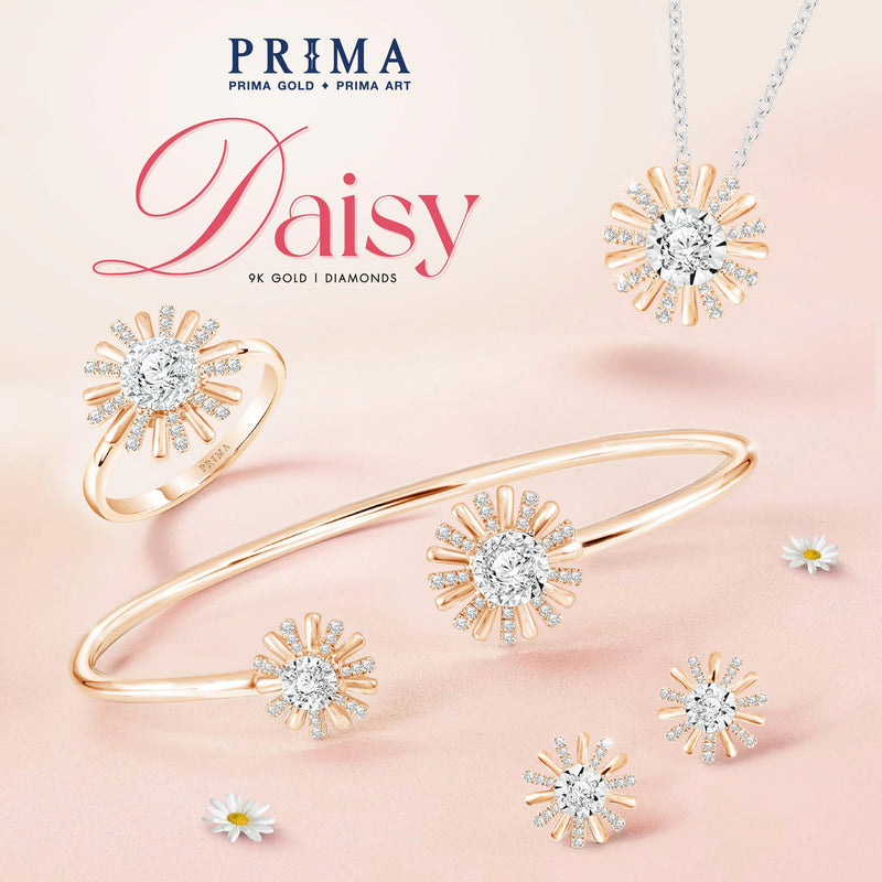 Daisy Collection: The Pure Beauty of the Daisy